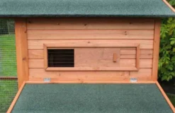 Poulailler Oslo -Équilibre Animal poulailler oslo4