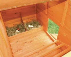 Poulailler Ottawa -Équilibre Animal poulailler3