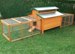 Poulailler Calgary -Équilibre Animal poulaillercalgary4