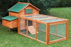 Poulailler Island -Équilibre Animal poulaillerisland3