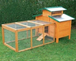 Poulailler Ottawa -Équilibre Animal poulaillerottawa4