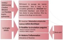 Horse Master Protect Fourbure 500 Ml -Équilibre Animal protect fourbureppte