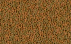 Tetra Wafer Mix 100 Ml -Équilibre Animal tetra wafer mix 100 ml2