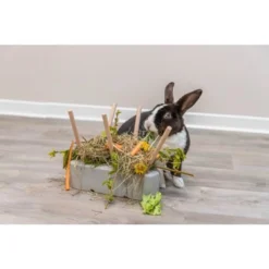 Trixie Mangeoire Pour Rongeurs 26 X 23 X 17 Cm -Équilibre Animal trixie mangeoire pour rongeurs 26 x 23 x 17 cm 5