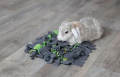 Trixie Tapis à Renifler Pour Lapin Et Cochon D'inde 27 × 20 Cm -Équilibre Animal trixie tapis a renifler pour lapin et cochon d inde4