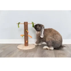 Trixie Tronc D'arbre Ludique Pour Aliments Rongeurs 6 Trixie Tronc D'arbre Ludique Pour Aliments Rongeurs -Équilibre Animal trixie tronc d arbre ludique pour aliments rongeurs 2