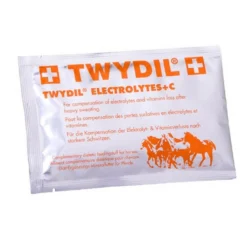 Twydil Electrolytes +C 1 Sachet De 50 Grs
