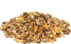 Versele Laga GOLD 4 Mix Poules Pondeuses 5 Kg -Équilibre Animal versele laga gold 4 mix pour poules pondeuses 5 kg3