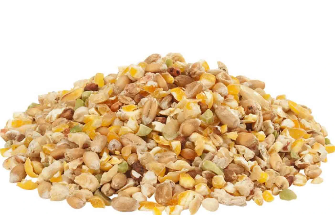 Versele Laga GRA-MIX Mélange Poules & Faisans 20 Kg 2 Versele Laga GRA-MIX Mélange Poules & Faisans 20 Kg – Image 2