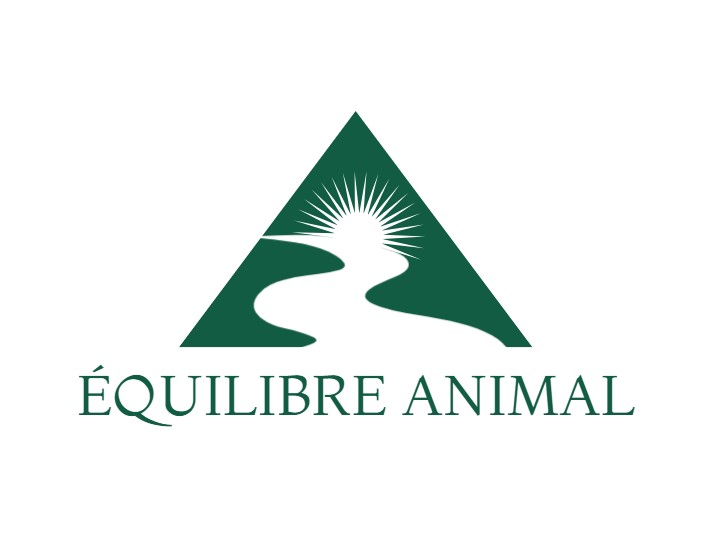 Équilibre Animal